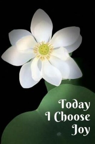 Cover of Today I Choose Joy