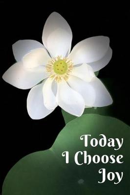 Book cover for Today I Choose Joy