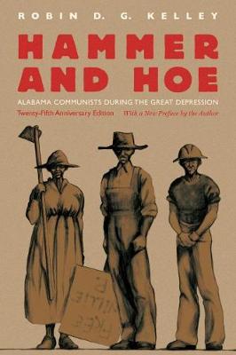 Book cover for Hammer and Hoe