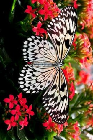 Cover of Tree Nymph Butterfly, for the Love of Nature