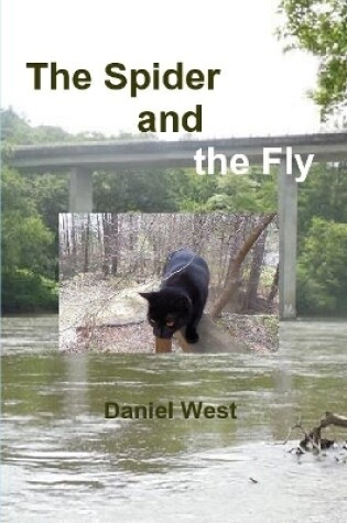 Cover of The Spider and the Fly