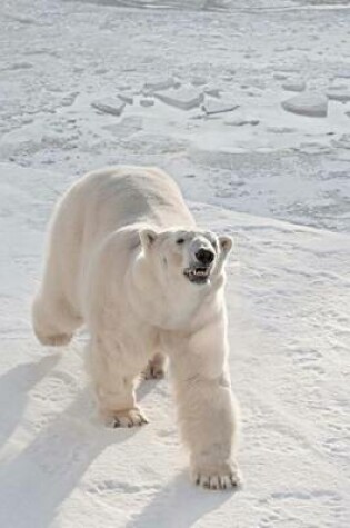 Cover of A Polar Bear in the Arctic Snow Journal