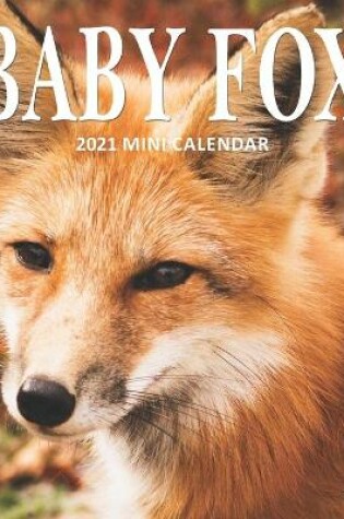 Cover of Baby Fox