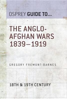 Book cover for The Anglo-Afghan Wars 1839-1919