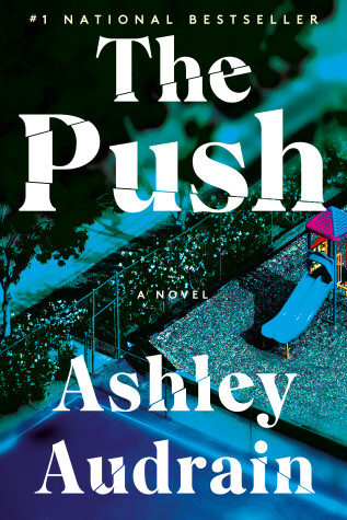 Book cover for The Push