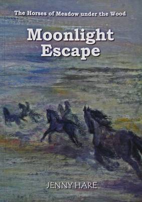 Book cover for Moonlight Escape