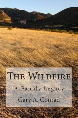 Book cover for The Wildfire