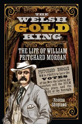 Cover of The Welsh Gold King