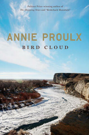 Cover of Bird Cloud