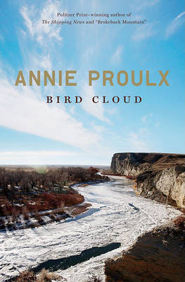 Book cover for Bird Cloud