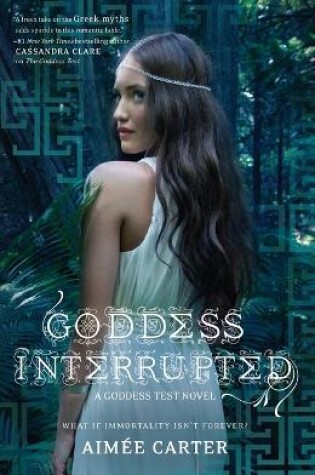 Cover of Goddess Interrupted