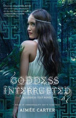 Book cover for Goddess Interrupted