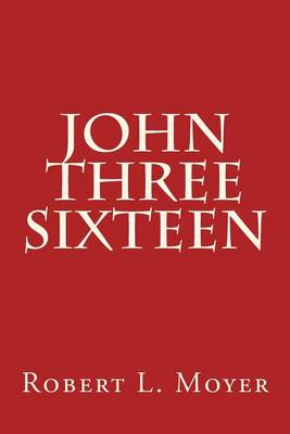 Book cover for John Three Sixteen