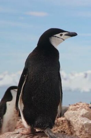 Cover of The Chinstrap Penguin Journal