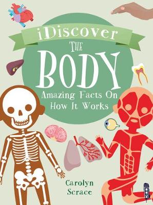 Book cover for The Body: Amazing Facts on How It Works