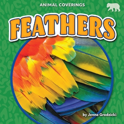 Book cover for Feathers