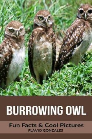 Cover of Burrowing Owl