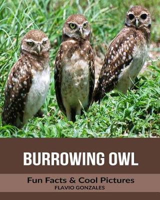 Book cover for Burrowing Owl