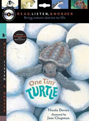 Cover of One Tiny Turtle with Audio, Peggable