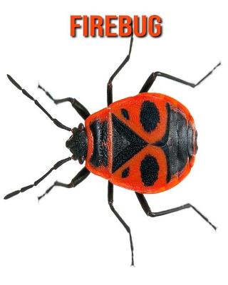 Book cover for Firebug