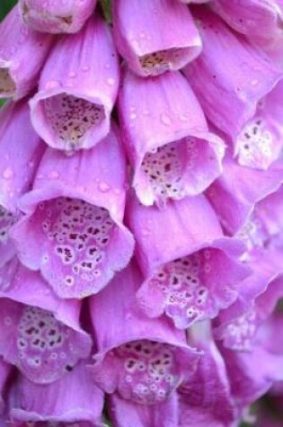 Cover of Beautiful Purple Foxglove Flowers Journal