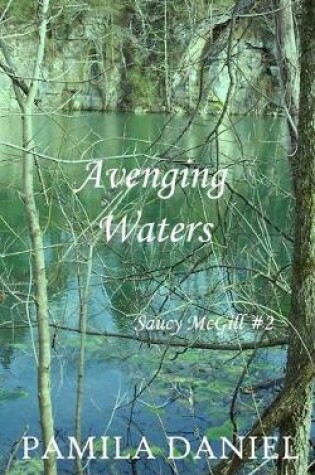 Cover of Avenging Waters