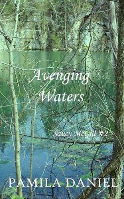 Book cover for Avenging Waters