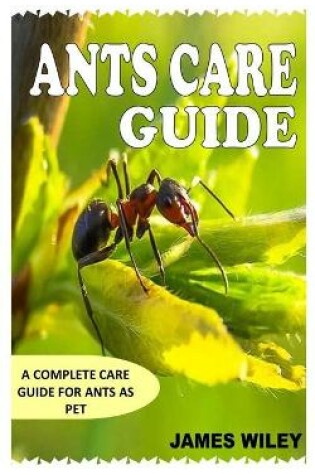 Cover of Ants Care Guide