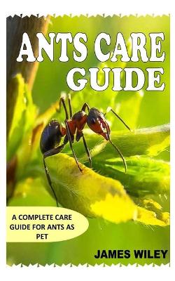 Book cover for Ants Care Guide
