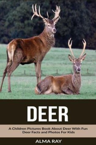 Cover of Deer