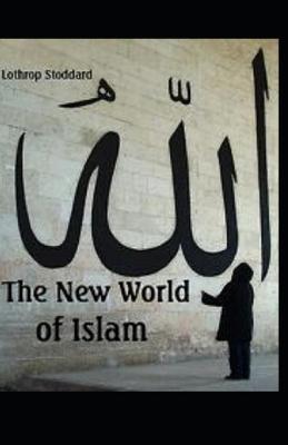 Book cover for New World of Islam illustrated