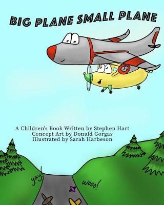 Book cover for Big Plane Small Plane