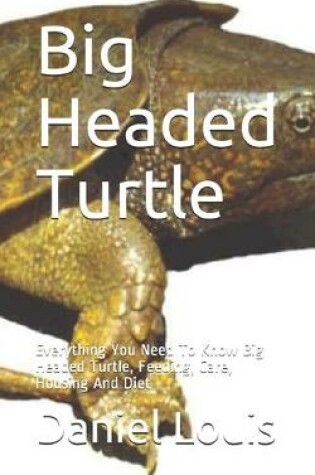 Cover of Big Headed Turtle
