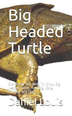 Book cover for Big Headed Turtle