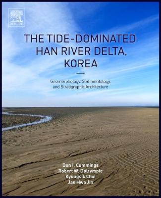 Book cover for The Tide-Dominated Han River Delta, Korea