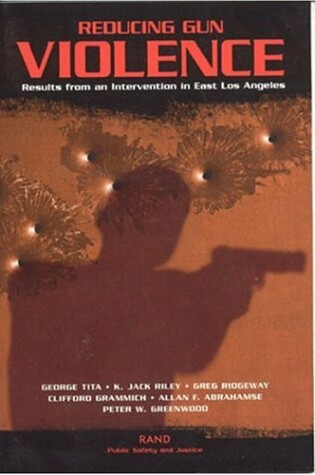 Cover of Reducing Gun Violence