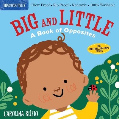 Book cover for Indestructibles: Big and Little: A Book of Opposites