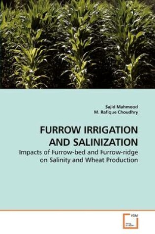 Cover of Furrow Irrigation and Salinization
