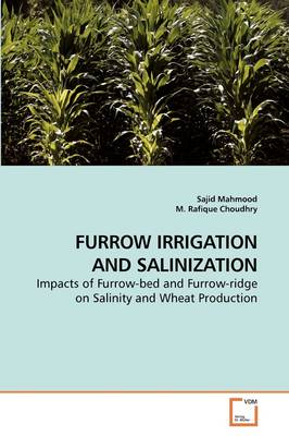 Book cover for Furrow Irrigation and Salinization