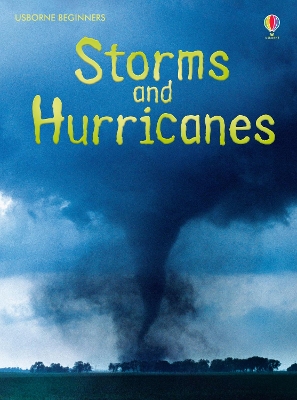 Book cover for Storms and Hurricanes