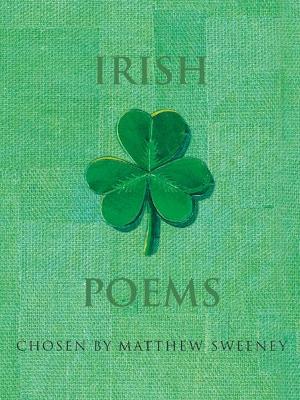 Book cover for Irish Poems