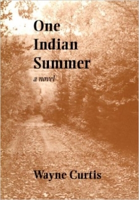 Book cover for One Indian Summer