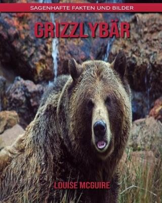 Book cover for Grizzlybär