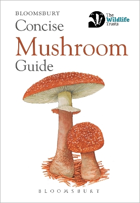 Book cover for Concise Mushroom Guide