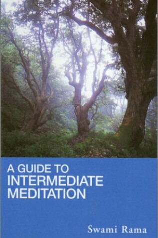 Cover of A Guide to Intermediate Meditation