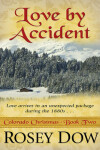 Book cover for Love by Accident