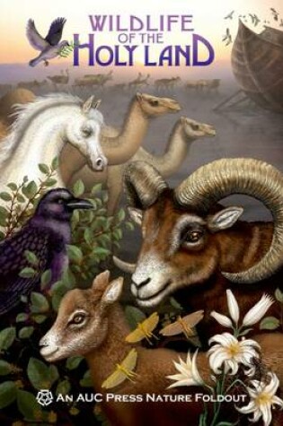 Cover of Wildlife of the Holy Land