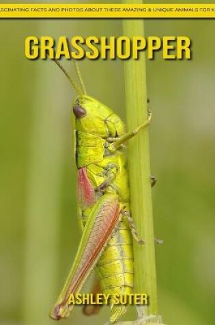 Cover of Grasshopper