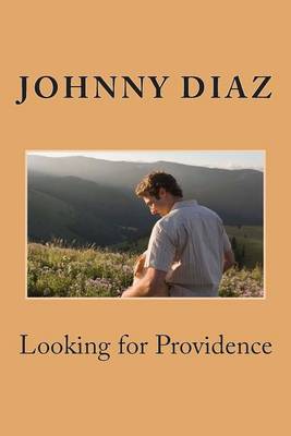 Book cover for Looking for Providence