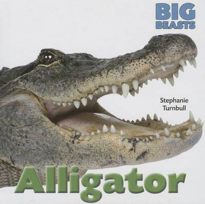 Cover of Alligator